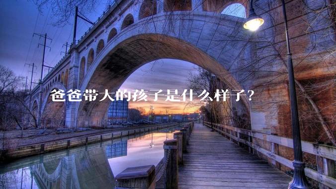 爸爸带大的孩子是什么样子？